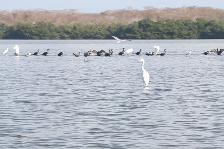 Cartagena Fishing, Crabbing, Birdwatching Experience + Lunch