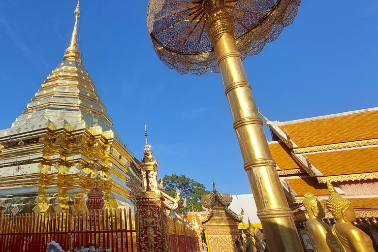 Chiang Mai: Doi Suthep, Wat Pha Lat & Sticky Waterfall TourChiang Mai: Doi Suthep-tempel en unieke kleverige waterval