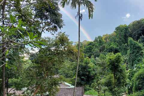 Chiang Mai: Doi Suthep, Wat Pha Lat & Sticky Waterfall TourChiang Mai: Doi Suthep-tempel en unieke kleverige waterval