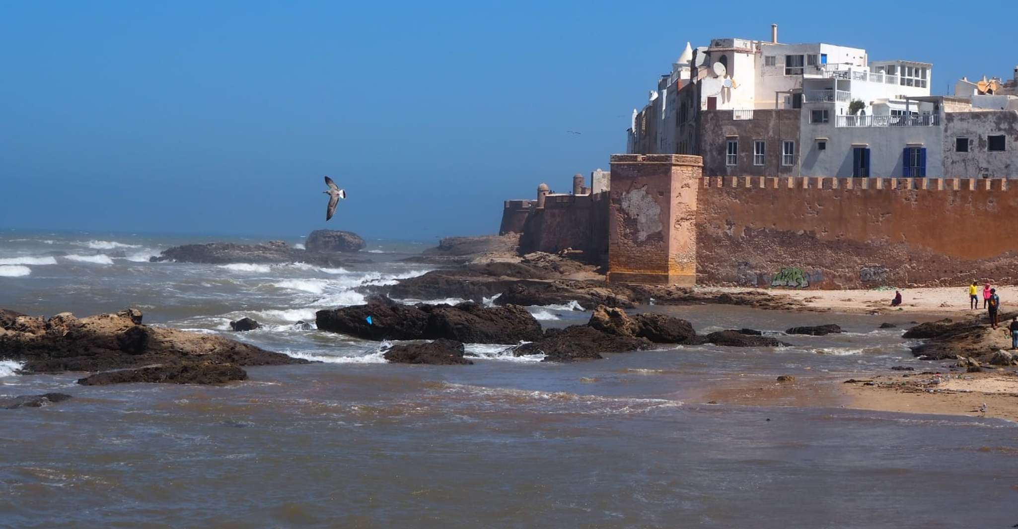Essaouira 从马拉喀什的日间旅行 - Hizvo
