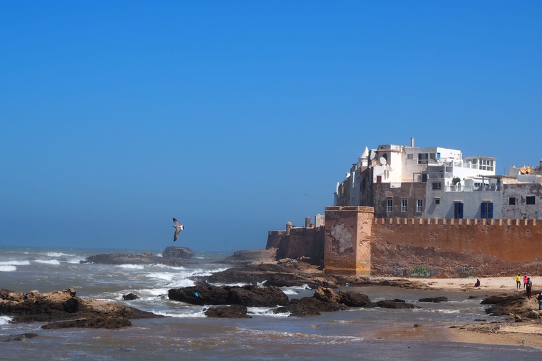 Marrakech: Viagem de 1 dia a Essaouira com traslados e visita a uma cooperativaMarrakech: Passeio de um dia em Essaouira com traslados e visita a uma cooperativa