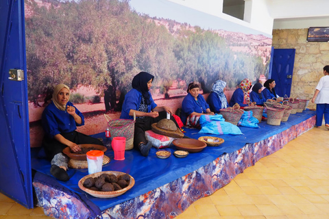 Marrakech: Viagem de 1 dia a Essaouira com traslados e visita a uma cooperativaMarrakech: Passeio de um dia em Essaouira com traslados e visita a uma cooperativa