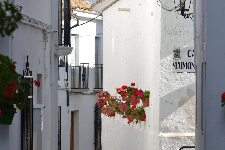 Desde Córdoba: Excursión privada de medio día a los Pueblos Blancos