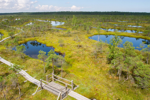 Vanuit Riga: privédagtrip naar Jurmala en Great Kemeri