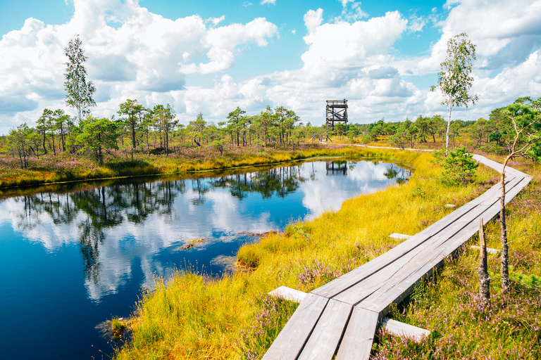 Vanuit Riga: privédagtrip naar Jurmala en Great Kemeri