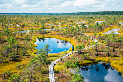 Vanuit Riga: privédagtrip naar Jurmala en Great Kemeri