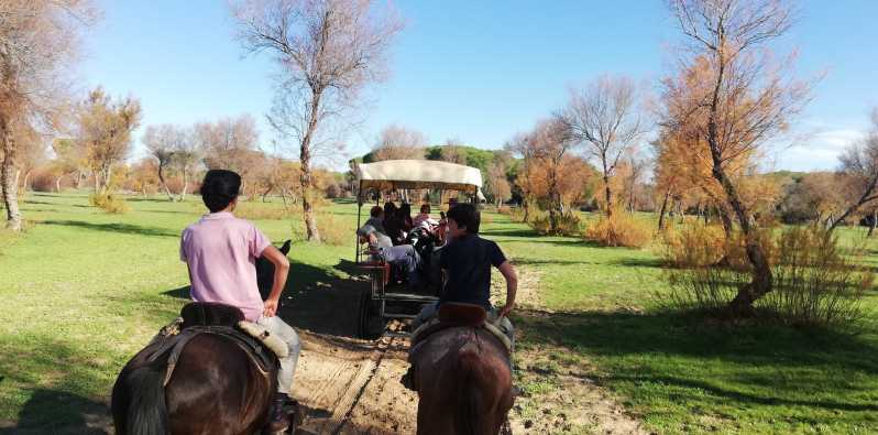 Itinerario in carrozza trainata da cavalli attraverso il Parco di Doñana e la Villa