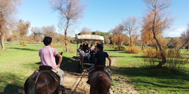 Visit Horse-Drawn Carriage Route Through Doñana Park and The Villa in Mazagon