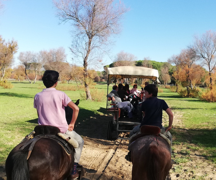 Pferdekutschenfahrt durch den Doñana Park und die Villa