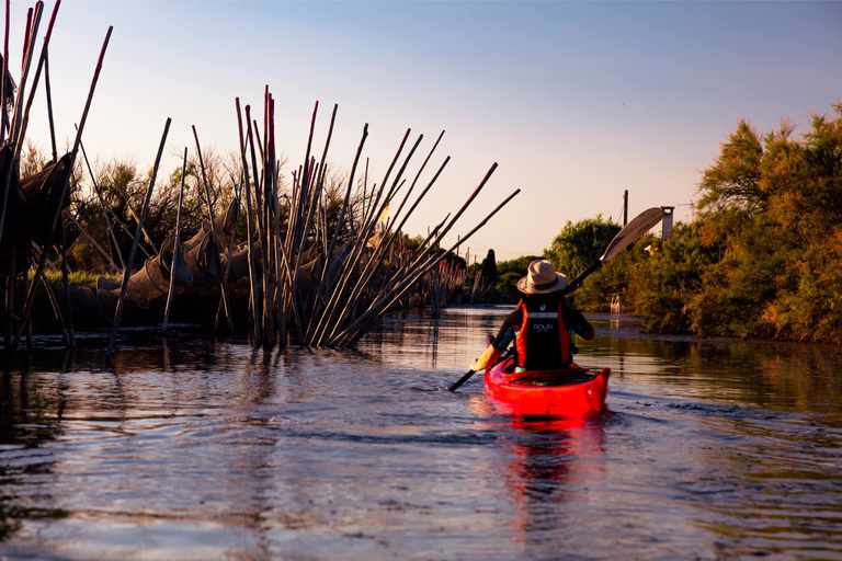 Montpellier : Birdwatching by kayak in Camargue