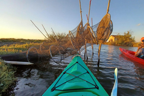 Montpellier : Birdwatching by kayak in Camargue