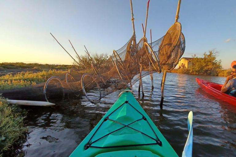 Montpellier : Birdwatching by kayak in Camargue