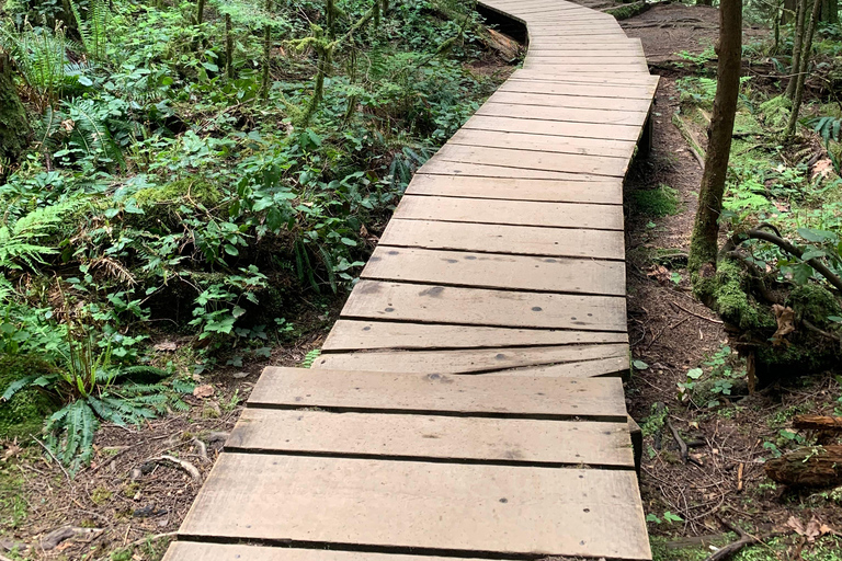 Vancouver: Regenwald-Wasserfall-Wanderung und Hängebrücke