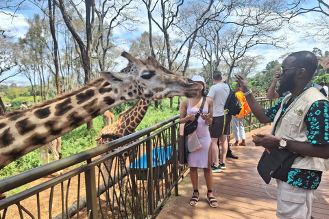 David Sheldrick Wildlife Trust Elephant Orphanage Tour