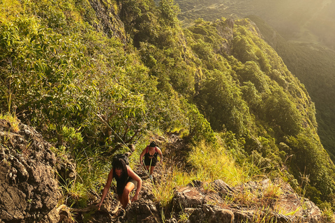 Ilhas Maurício: Caminhada e escalada guiada ao nascer do sol na montanha Le MorneCaminhada e escalada ao nascer do sol na montanha Le Morne