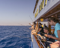Croisière relaxante à Larnaca Bay - Hizvo