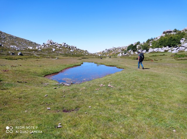 Visit Cuscionu's plateau, 1000 waterholes'grass  pozzines in Zonza, Corsica, France
