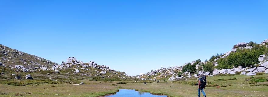 Plateau de Cuscionu, 1000 points d'eau : pozzines