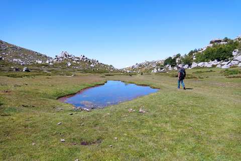 Cuscionu's plateau, 1000 waterholes'grass : pozzines Open group half a day