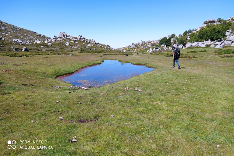 Cuscionu&#039;s plateau, 1000 waterpoelen&#039;gras : pozzinesHet plateau van Cuscionu, 1000 waterpoelen&#039;gras: pozzines