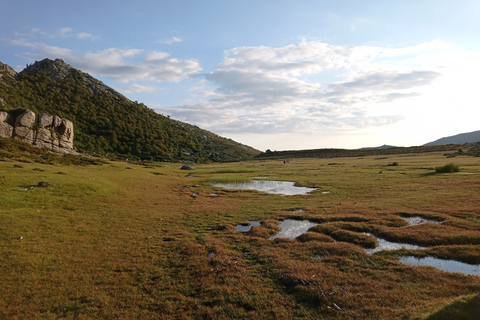 Cuscionu&#039;s plateau, 1000 waterpoelen&#039;gras : pozzinesHet plateau van Cuscionu, 1000 waterpoelen&#039;gras: pozzines