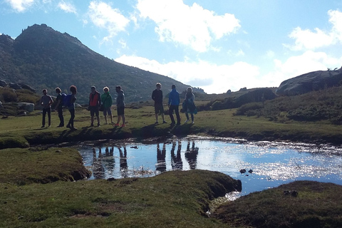 Cuscionu's plateau, 1000 waterholes'grass : pozzines Open group half a day