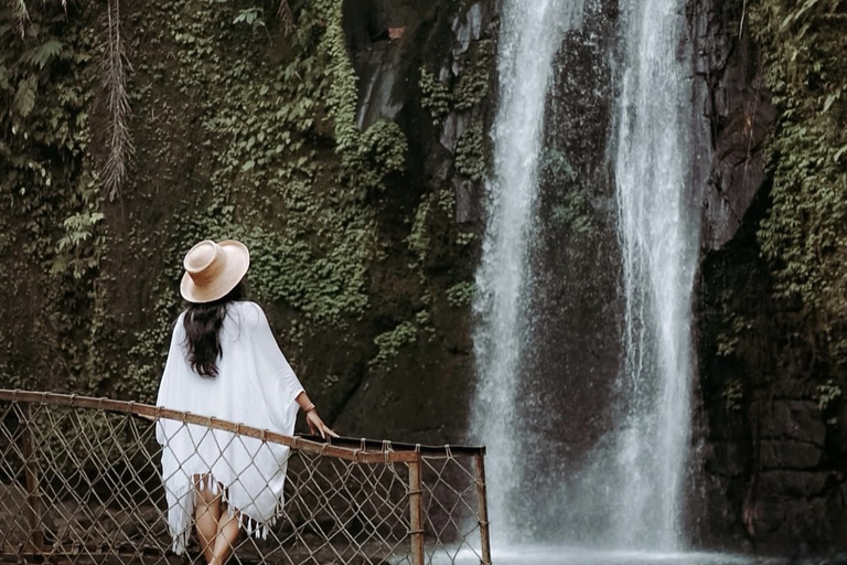 Ubud 3 Hidden Waterfalls & Tegalalang Rice Terrace Tour