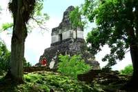 Tikal Tour Grupal Exclusivo - Housity