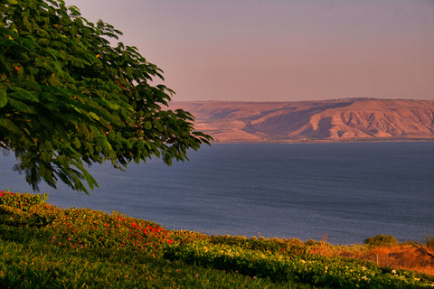 Nazaret y Tiberíades Excursión privada de un díaNazaret y Tiberíades Excursión privada de un día desde Ashdod