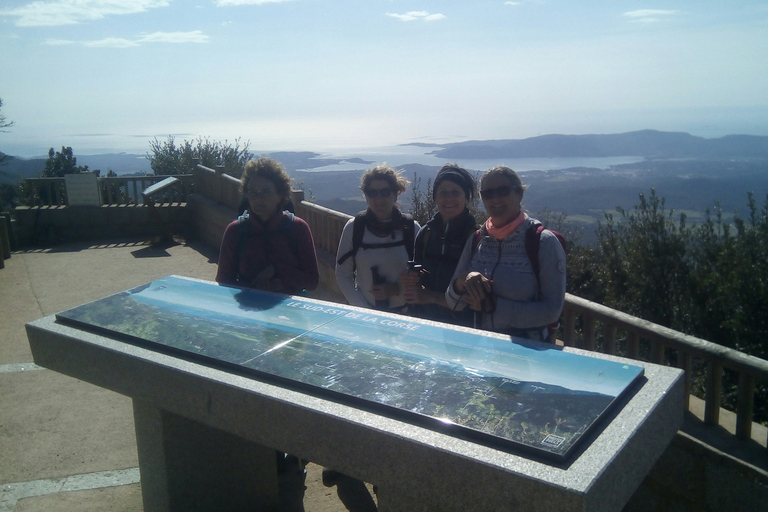 OSPEDALE FOREST:Panoramic summit with sea and lakes view OSPEDALE FOREST :Panoramic summit with sea and lakes view