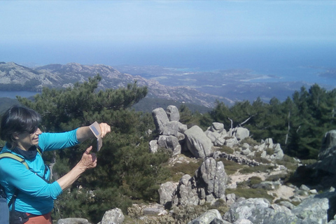 OSPEDALE FOREST:Panoramic summit with sea and lakes view OSPEDALE FOREST :Panoramic summit with sea and lakes view