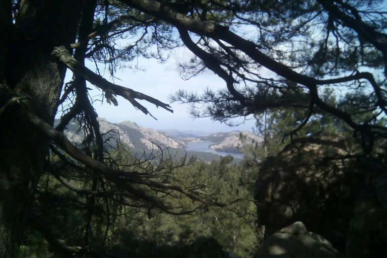 OSPEDALE FOREST:Panoramic summit with sea and lakes view OSPEDALE FOREST :Panoramic summit with sea and lakes view