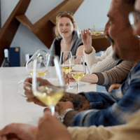 Bordeaux, demi-journée de la tournée Margaux - Hizvo