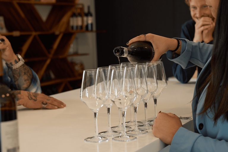 Van Bordeaux: privé wijntour Saint-Emilion