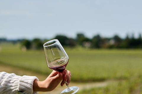 De Bordeaux: Tour particular de vinhos em Saint-Émilion