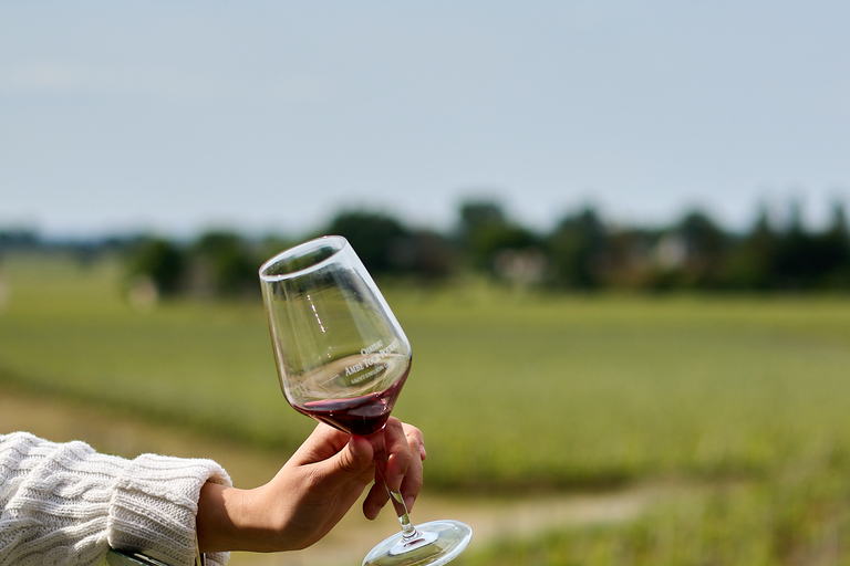 De Bordeaux: visite privée des vins de Saint-Emilion