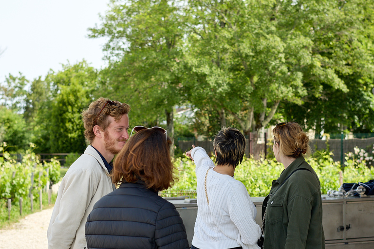 From Bordeaux: Private Wine Tour in Medoc