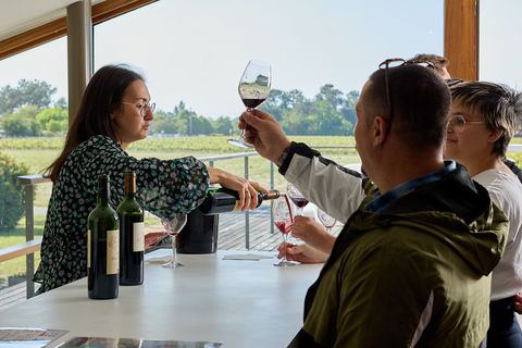 Bordeaux : Saint-Émilion et Médoc, découverte du vinBordeaux : expérience viticole à Margaux et St-Émilion