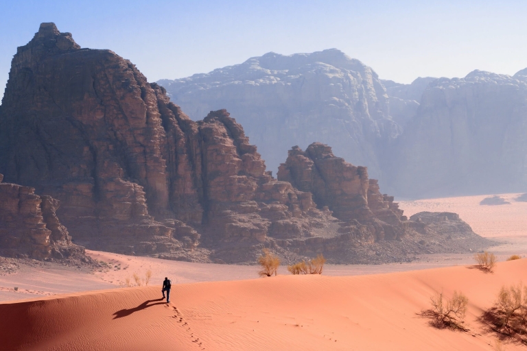 Excursion d'une journée à Petra et Wadi RumPetra et Wadi Rum (1 jour)