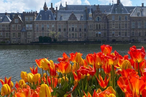Desde Ámsterdam: Viaje guiado a Rotterdam, Delft y La HayaTour en Español y Crucero por el Canal de Ámsterdam