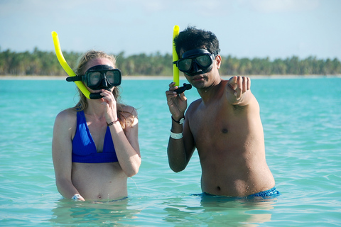 Desde Punta Cana: Saona, Canto de la Playa en grupo reducidoDesde Punta Cana: crucero por el Parque Nacional Cotubanama con almuerzo