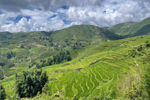 Randonnée dans le village de Red Dao et bain aux herbes