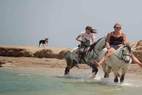 Sharm El-Sheikh: Excursão de 7 dias ao Egito com passeio de balão e voos