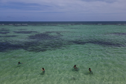 Van Punta Cana: Saona, Canto de la Playa in kleine groepVan Punta Cana: Cotubanama National Park Cruise met lunch