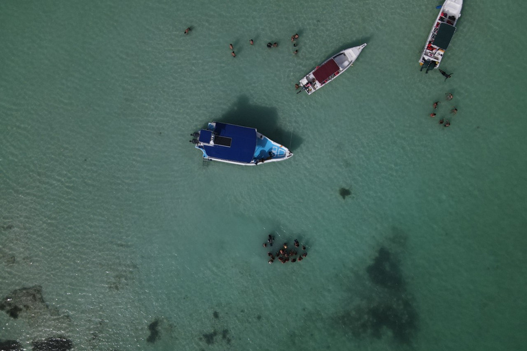 Desde Punta Cana: Saona, Canto de la Playa en grupo reducidoDesde Punta Cana: crucero por el Parque Nacional Cotubanama con almuerzo