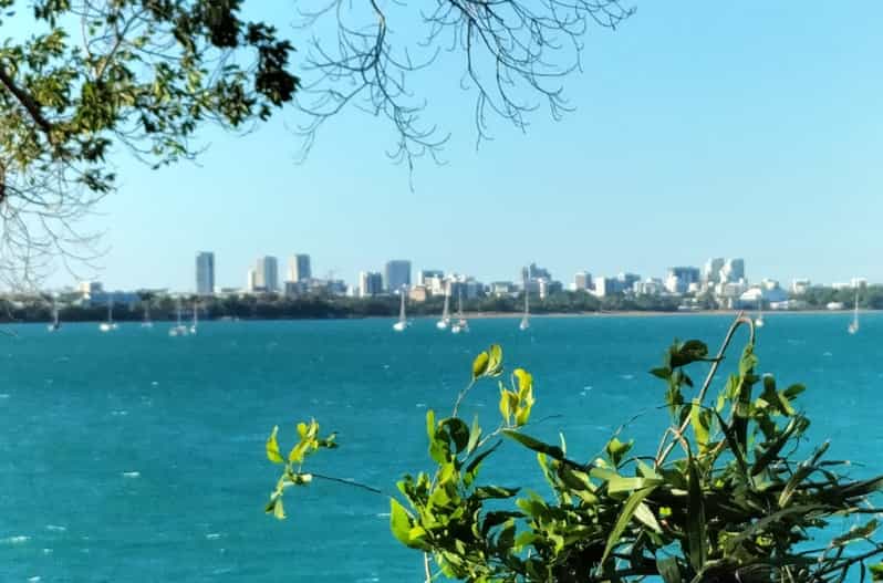 Darwin A Saturday or Sunday Morning LookAbout GetYourGuide