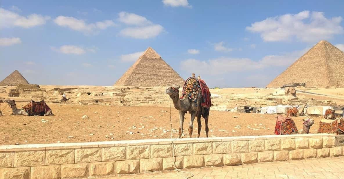 Kairo Pyramiden Von Gizeh Tagesausflug Ins Gyptische Museum Kamel