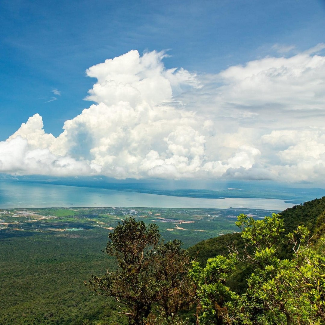 Colagem de mídia