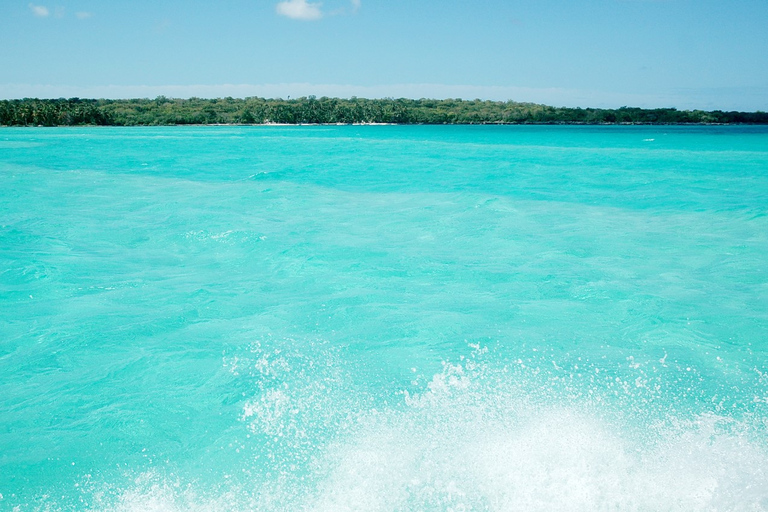 Desde Punta Cana: Saona, Canto de la Playa en grupo reducidoDesde Punta Cana: crucero por el Parque Nacional Cotubanama con almuerzo