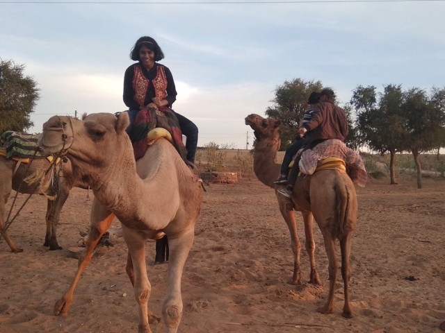 Visit From Jodhpur Thar Desert Jeep and Camel Safari with Lunch in Jodhpur, Rajasthan